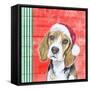 Holiday Puppy I-Patricia Pinto-Framed Stretched Canvas
