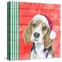 Holiday Puppy I-Patricia Pinto-Stretched Canvas