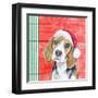 Holiday Puppy I-Patricia Pinto-Framed Art Print