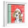 Holiday Puppy I-Patricia Pinto-Framed Art Print