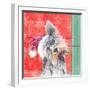 Holiday Puppy III-Patricia Pinto-Framed Art Print