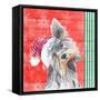 Holiday Puppy III-Patricia Pinto-Framed Stretched Canvas