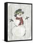 Holiday Snowman-PI Studio-Framed Stretched Canvas