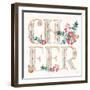 Holiday Sparkle VI-Dina June-Framed Art Print