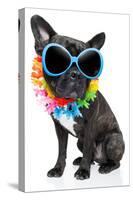 Holiday Summer Dog-Javier Brosch-Stretched Canvas