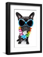 Holiday Summer Dog-Javier Brosch-Framed Photographic Print