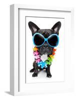 Holiday Summer Dog-Javier Brosch-Framed Photographic Print