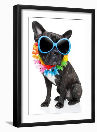 Holiday Summer Dog-Javier Brosch-Framed Photographic Print