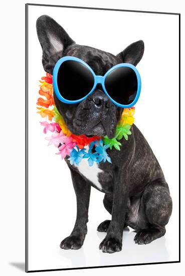 Holiday Summer Dog-Javier Brosch-Mounted Photographic Print