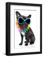 Holiday Summer Dog-Javier Brosch-Framed Photographic Print