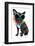 Holiday Summer Dog-Javier Brosch-Framed Photographic Print