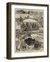 Holiday Time at Richmond-null-Framed Giclee Print