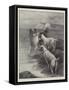 Holiday Time-Fannie Moody-Framed Stretched Canvas