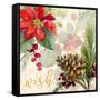 Holiday Wishes IV-Lanie Loreth-Framed Stretched Canvas