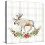 Holiday Woodland Garland on Plaid I-Lanie Loreth-Stretched Canvas