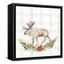 Holiday Woodland Garland on Plaid I-Lanie Loreth-Framed Stretched Canvas