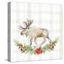 Holiday Woodland Garland on Plaid I-Lanie Loreth-Stretched Canvas