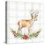 Holiday Woodland Garland on Plaid II-Lanie Loreth-Stretched Canvas