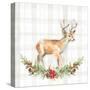 Holiday Woodland Garland on Plaid II-Lanie Loreth-Stretched Canvas