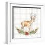 Holiday Woodland Garland on Plaid II-Lanie Loreth-Framed Art Print