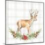 Holiday Woodland Garland on Plaid II-Lanie Loreth-Mounted Art Print