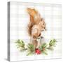 Holiday Woodland Garland on Plaid III-Lanie Loreth-Stretched Canvas