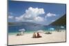 Holidaymakers on Antisamos Beach, Sami, Kefalonia (Kefallonia) (Cephalonia)-Ruth Tomlinson-Mounted Photographic Print