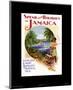 Holidays In Jamaica-null-Mounted Art Print