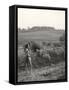 Holidays in the Countryside-null-Framed Stretched Canvas