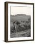 Holidays in the Countryside-null-Framed Photographic Print