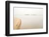 Holkham Beach, Wells Next the Sea, Norfolk, England, United Kingdom, Europe-Bill Ward-Framed Photographic Print