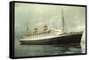 Holland America Line, Hal, S.S. Nieuw Amsterdam-null-Framed Stretched Canvas