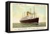 Holland America Line, T.S.S Nieuw Amsterdam, Steamer-null-Framed Stretched Canvas