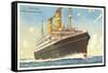 Holland-America Ocean Liner SS Veendam-null-Framed Stretched Canvas