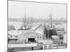 Holland America Piers, Hoboken, N.Y. I.E. N.J.-null-Mounted Photo