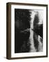 Holland Canal, 1971 (silver gelatin print)-Brett Weston-Framed Photographic Print