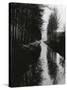 Holland Canal, 1971 (silver gelatin print)-Brett Weston-Stretched Canvas