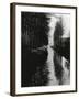 Holland Canal, 1971 (silver gelatin print)-Brett Weston-Framed Photographic Print