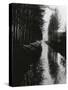 Holland Canal, 1971 (silver gelatin print)-Brett Weston-Stretched Canvas