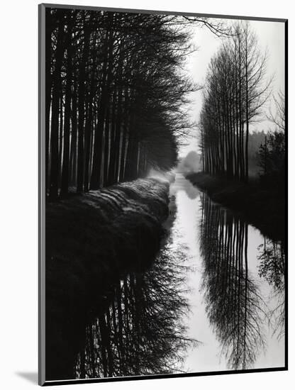 Holland Canal, 1973-Brett Weston-Mounted Premium Photographic Print