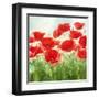 Holland Garden-Igor Levashov-Framed Art Print