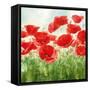 Holland Garden-Igor Levashov-Framed Stretched Canvas