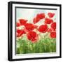 Holland Garden-Igor Levashov-Framed Art Print