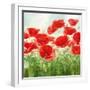 Holland Garden-Igor Levashov-Framed Art Print