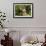 Holland Lop Rabbit, Griswold, Connecticut, USA-Lynn M^ Stone-Framed Photographic Print displayed on a wall