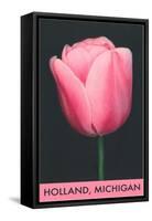 Holland, Michigan, Pink Tulip-null-Framed Stretched Canvas