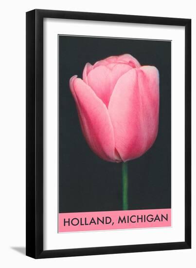 Holland, Michigan, Pink Tulip-null-Framed Art Print