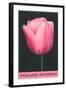 Holland, Michigan, Pink Tulip-null-Framed Art Print