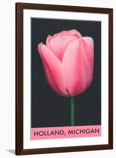 Holland, Michigan, Pink Tulip-null-Framed Art Print