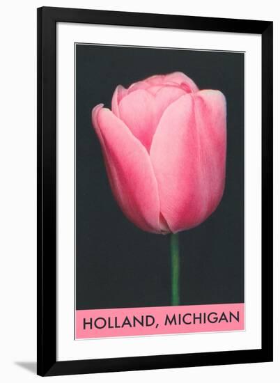 Holland, Michigan, Pink Tulip-null-Framed Art Print